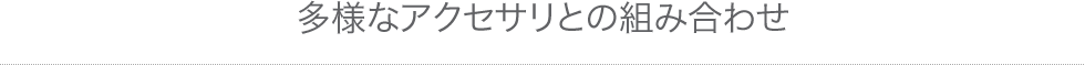 アクセサリと組み合わせ